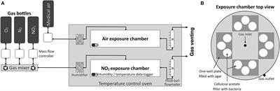 Deleterious Effects of an Air Pollutant (NO2) on a Selection of Commensal Skin Bacterial Strains, Potential Contributor to Dysbiosis?